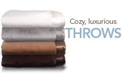 categories_2_cta