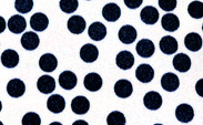 Confetti Satin Denim