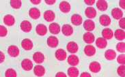 Confetti Satin Raspberry