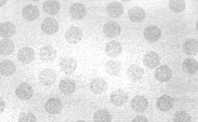 Confetti Satin Silver