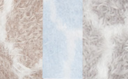 Feather Yarn Giraffe Flax/Blue/Silver