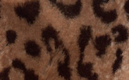 Luxe Leopard Espresso