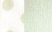 Mini Dot/Solid Celadon