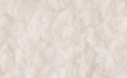 Bella Cream