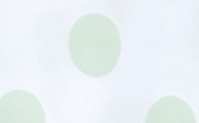 New Dot Layette Celadon
