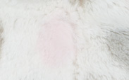 Luxe™ Dot Pink